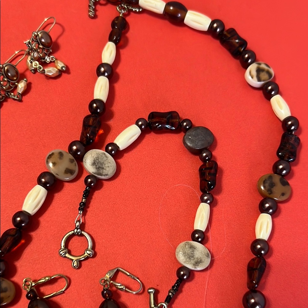 Elegant Beaded Necklace and Earring Set